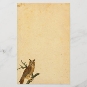 Vintages Spaß-aussehendes Eulen-Pergamentpapier Briefpapier