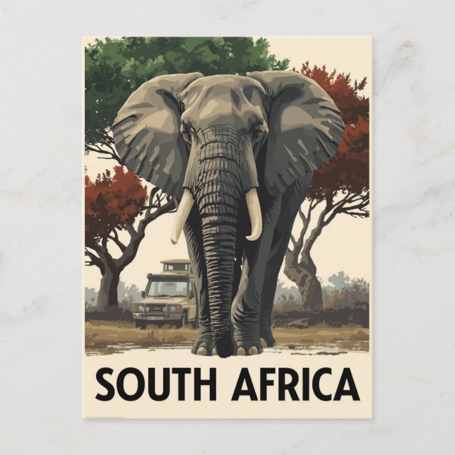 Vintages Südafrika Elephant Safari Postkarte (Vorderseite)