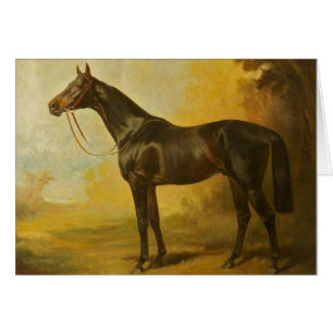 Vintages Thoroughbred-Pferd