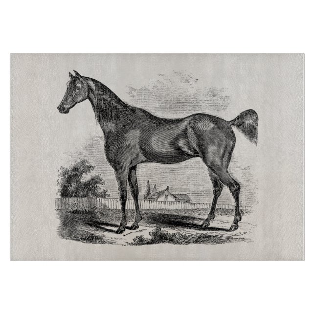 Vintages Thoroughbred-Pferdereiterpersonalisiertes Schneidebrett (Vorderseite)