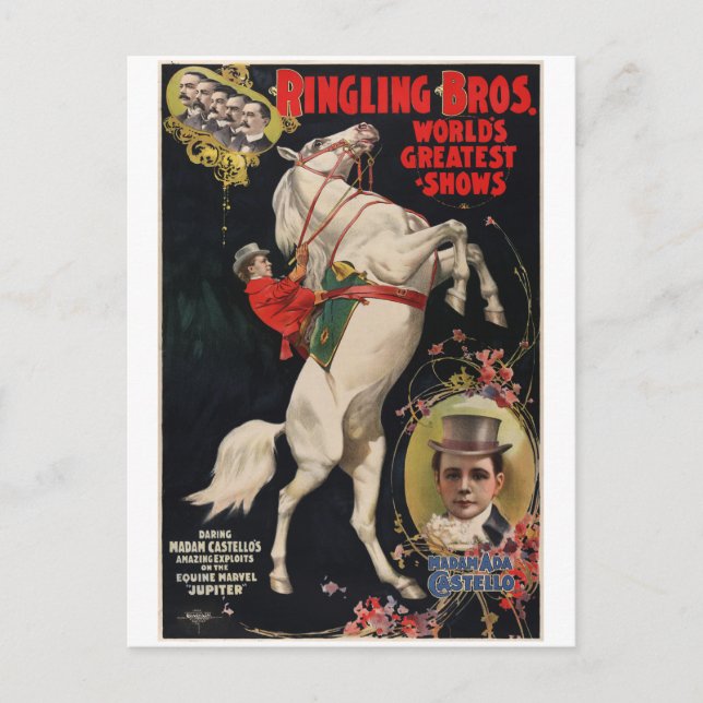 Vintages Tierschutzgesetz Postkarte (Vorderseite)