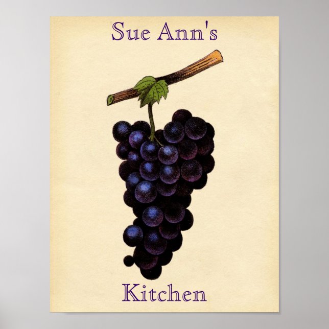 Vintages Traubenposter Poster (Vorne)