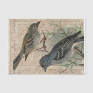 Vintages Vogel-Collagen-Seidenpapier Seidenpapier