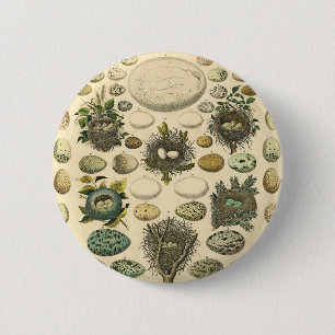 Vintages Vogeleier Nest Malerei Button