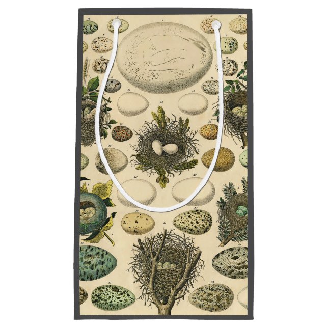 Vintages Vogeleier Nest Malereieier Kleine Geschenktüte (Vorderseite)