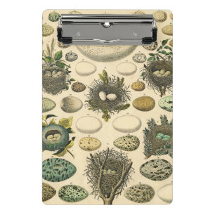 Vintages Vogeleier Nest Malereieier Mini Klemmbrett