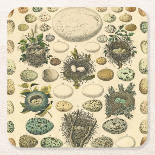 Vintages Vogeleier Nest Malereieier Rechteckiger Pappuntersetzer