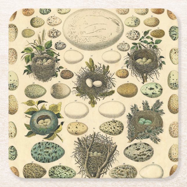 Vintages Vogeleier Nest Malereieier Rechteckiger Pappuntersetzer (Vorderseite)