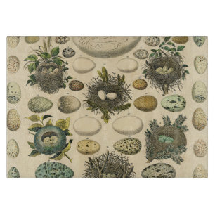 Vintages Vogeleier Nest Malereieier Schneidebrett