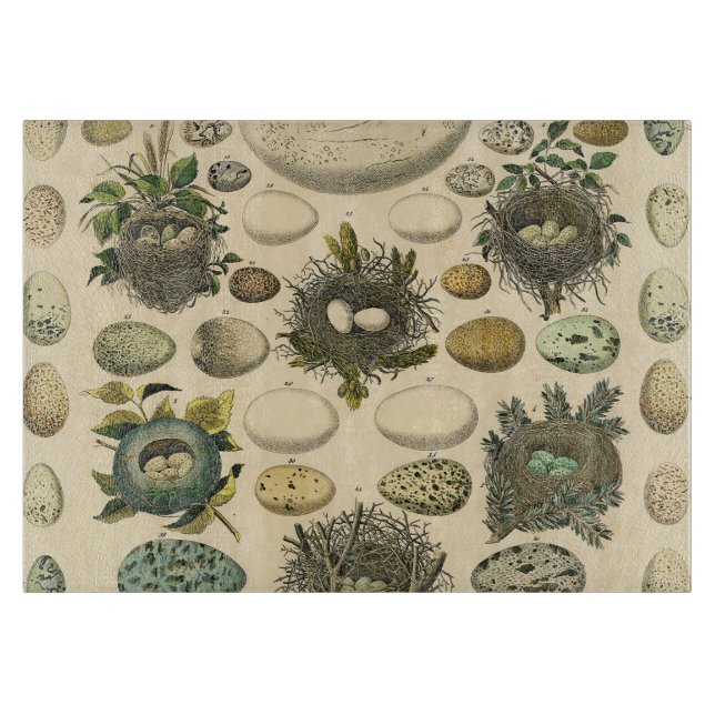 Vintages Vogeleier Nest Malereieier Schneidebrett (Vorderseite)