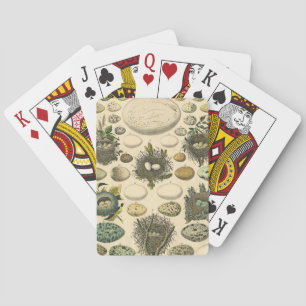 Vintages Vogeleier Nest Malereieier Spielkarten