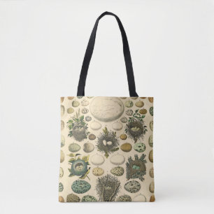 Vintages Vogeleier Nest Malereieier Tasche