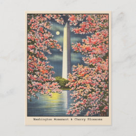 Vintages Washington Monument & Cherry Blossoms DC Postkarte