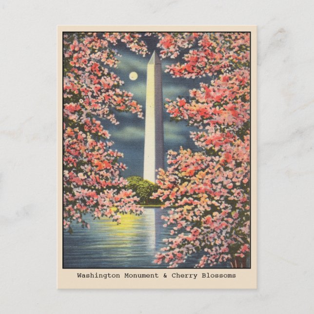 Vintages Washington Monument & Cherry Blossoms DC Postkarte (Vorderseite)