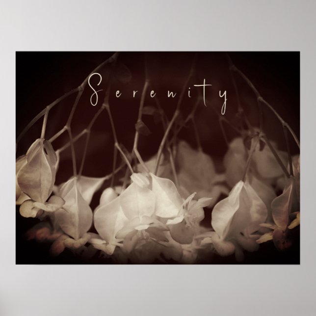 Vintages weißes Blumenposter Poster (Vorne)