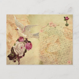 Vintages weißes DosenShabby Chic Postkarte