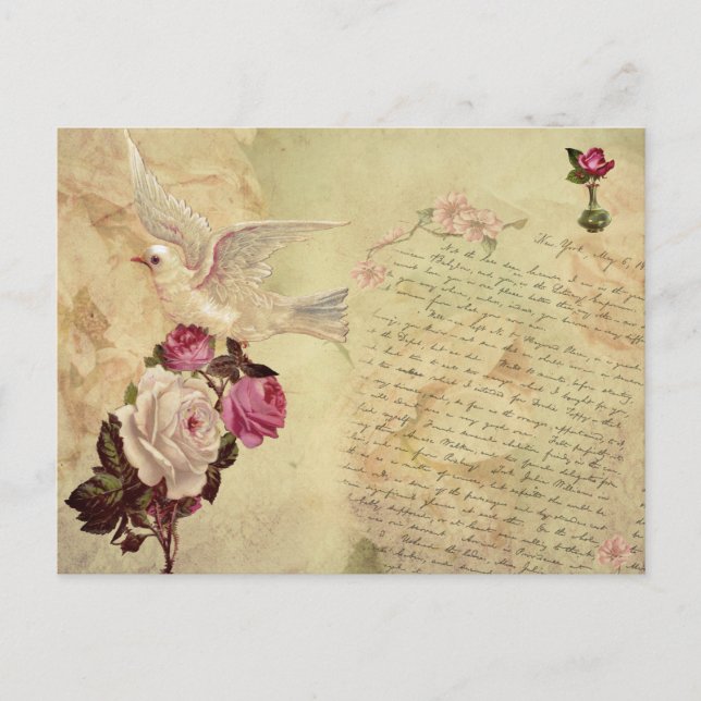 Vintages weißes DosenShabby Chic Postkarte (Vorderseite)