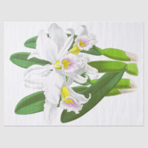 Vintages Weißes Orchideen-Blume-Tissue Paper Seidenpapier