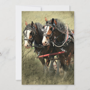 Vintages Wetter Clydesdale Postkarte