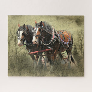 Vintages Wetter Clydesdale Postkarte