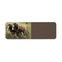 Vintages Wetter Clydesdale Postkarte