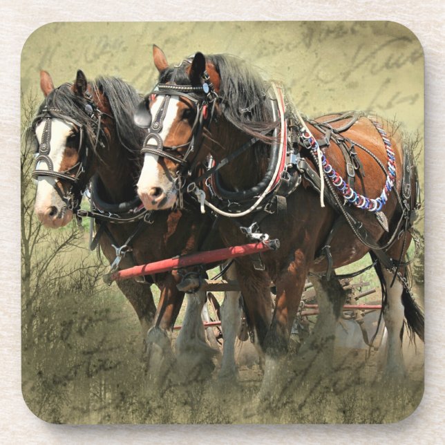 Vintages Wetter Clydesdale Postkarte Getränkeuntersetzer (Vorderseite)