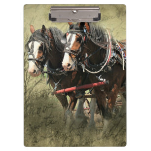 Vintages Wetter Clydesdale Postkarte Klemmbrett