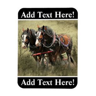 Vintages Wetter Clydesdale Postkarte Magnet
