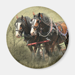 Vintages Wetter Clydesdale Postkarte Magnet