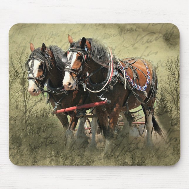 Vintages Wetter Clydesdale Postkarte Mousepad (Vorne)
