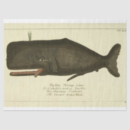 Vintages Whale Script Ephemera Decoupage Nautic Seidenpapier