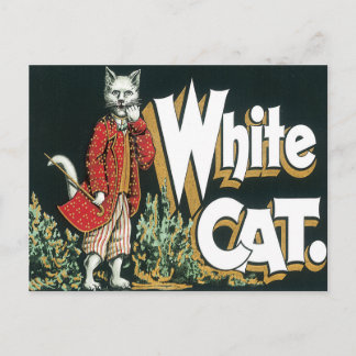 Vintages White Cat Cigar Postkarte