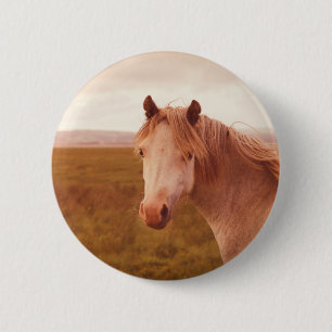 Vintages Wildpferd Button