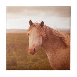 Vintages Wildpferd Fliese