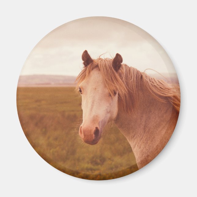 Vintages Wildpferd Magnet (Vorne)