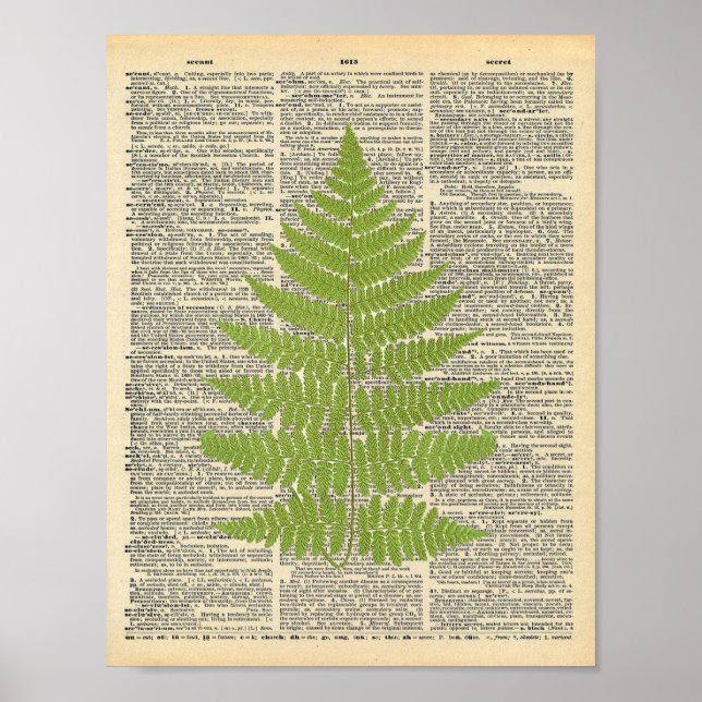 Vintages Wörterbuch Art Green Fern Fronprint Poster (Vorne)