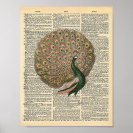 Vintages Wörterbuch Kunst Schöner Pfauenvogel Poster
