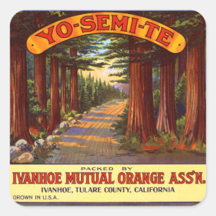 Vintages Yo-Semi-Te-Orange-Etikett Quadratischer Aufkleber