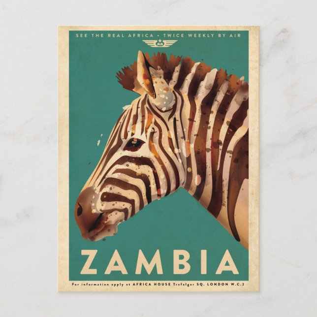 Vintages Zambia Zebra Travel Postkarte (Vorderseite)