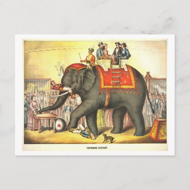 Vintages Zirkusposter für Darstellende Elefanten Postkarte (Vorderseite)