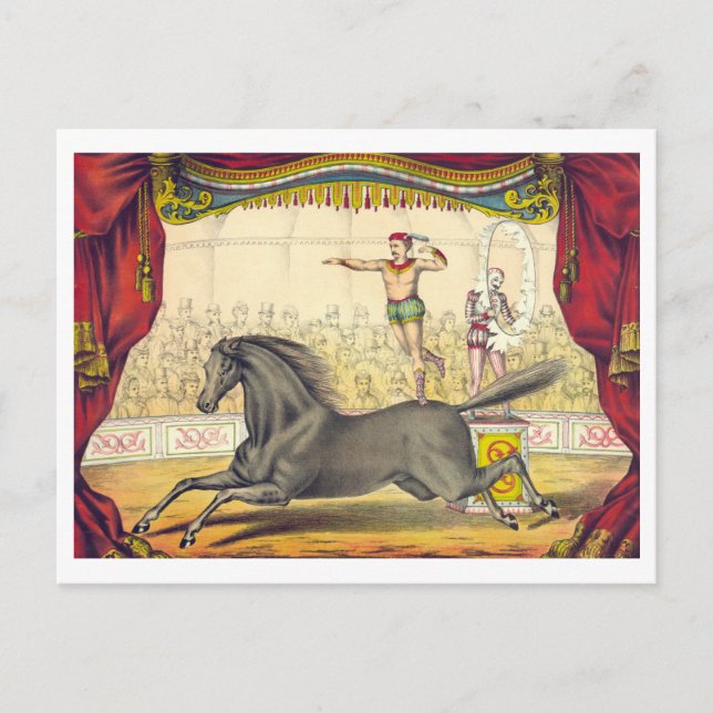 Vintages Zirkusposter für Pferdeakte Postkarte (Vorderseite)