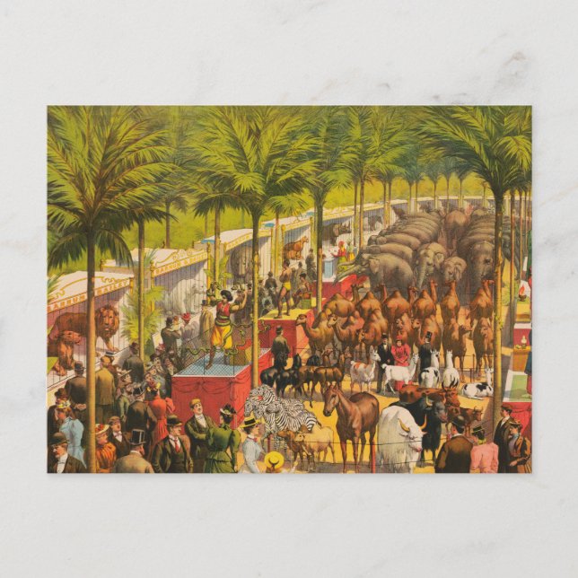 Vintages Zirkusposter von Tieren und Künstlern Postkarte (Vorderseite)
