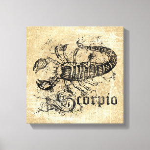 Vintages Zodiac-Skorpio Leinwanddruck