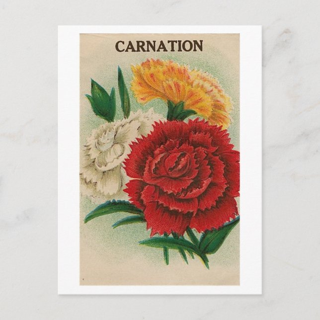 vintnia seed packet postcard postkarte (Vorderseite)