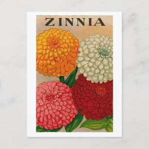 vintnia seed packet postcard postkarte