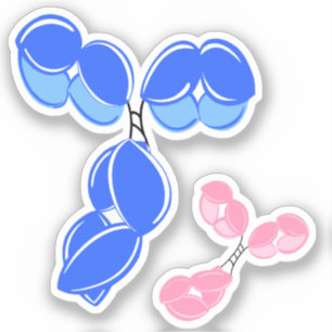 Vinyl-Aufkleber - blaues IgG (Antikörper) mit/-bon Aufkleber