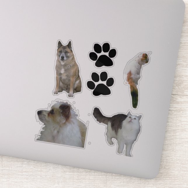Vinyl Sticker - Katzen und Hunde (Detail)
