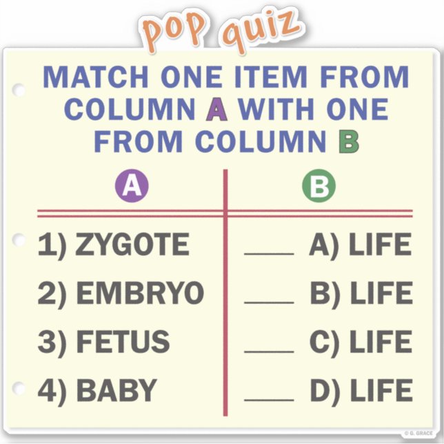 Vinyl sticker with a quiz. (Devant)