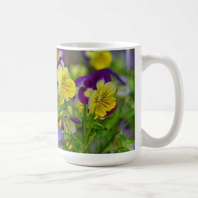Viola Tasse (Rechts)