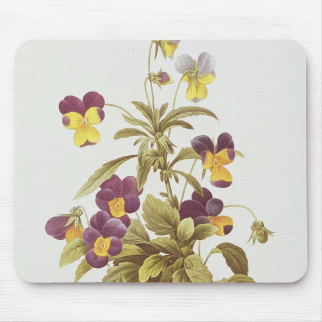 Viola Tricolour Mousepad (Vorne)